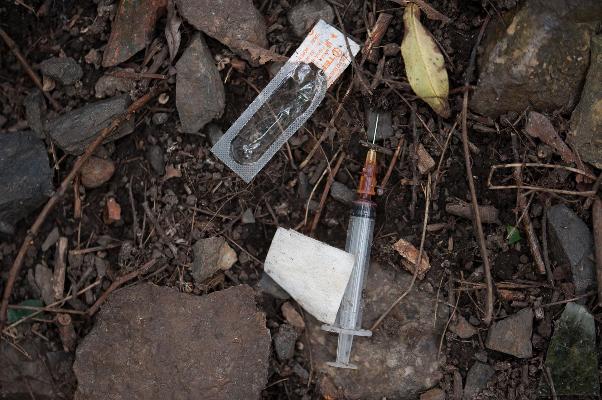 A used syringe in a forest